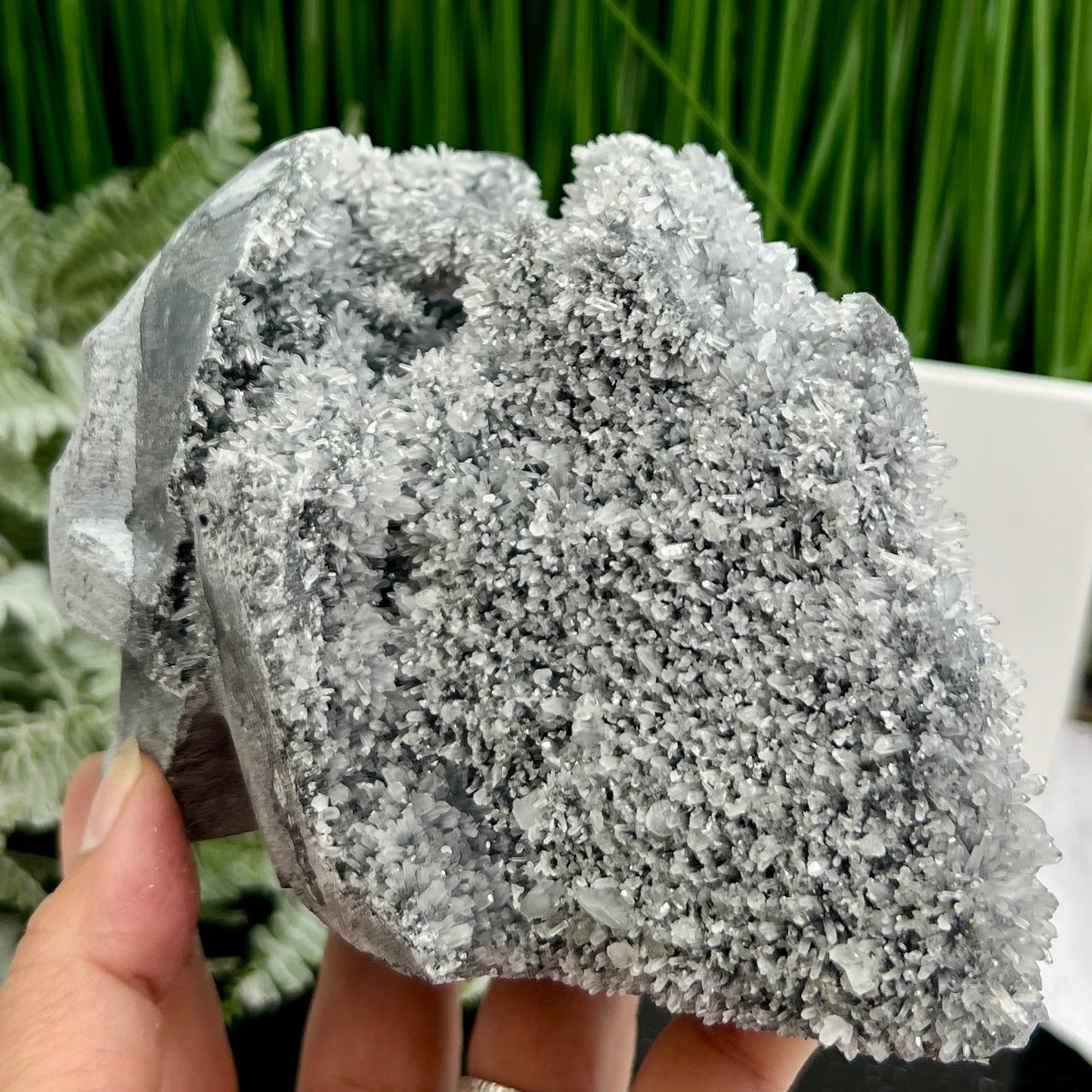 Black Quartz Skull Large Druzy Crystal 1158g