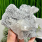 Black Quartz Calcite Skull UV Reactive Large Druzy Crystal 1014g