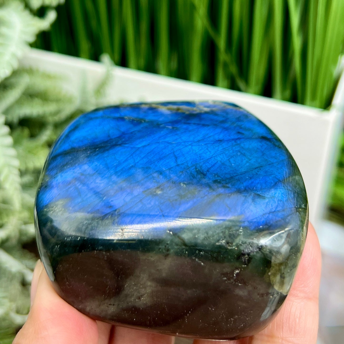 Labradorite Blue Free Form Healing Crystal 432g