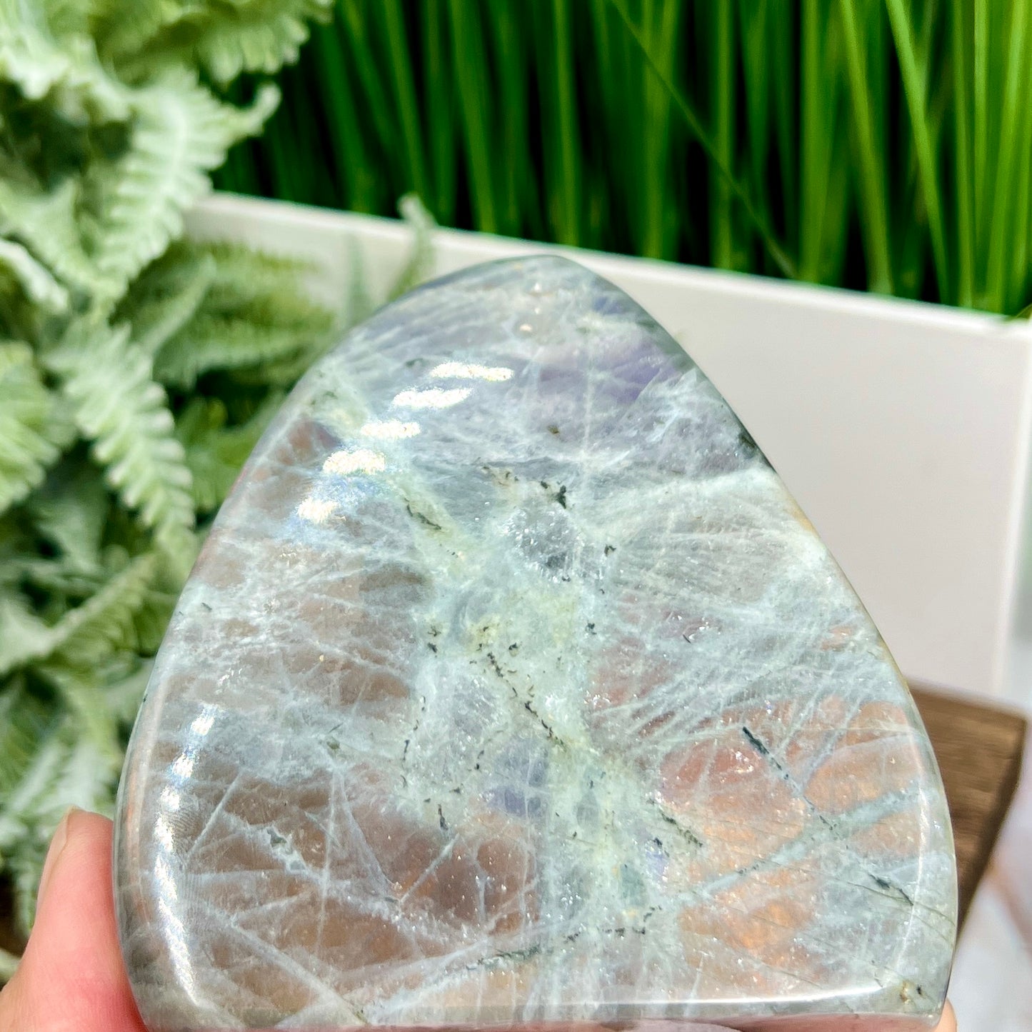 Labradorite Purple Sunset Free Form Healing Crystal 514g