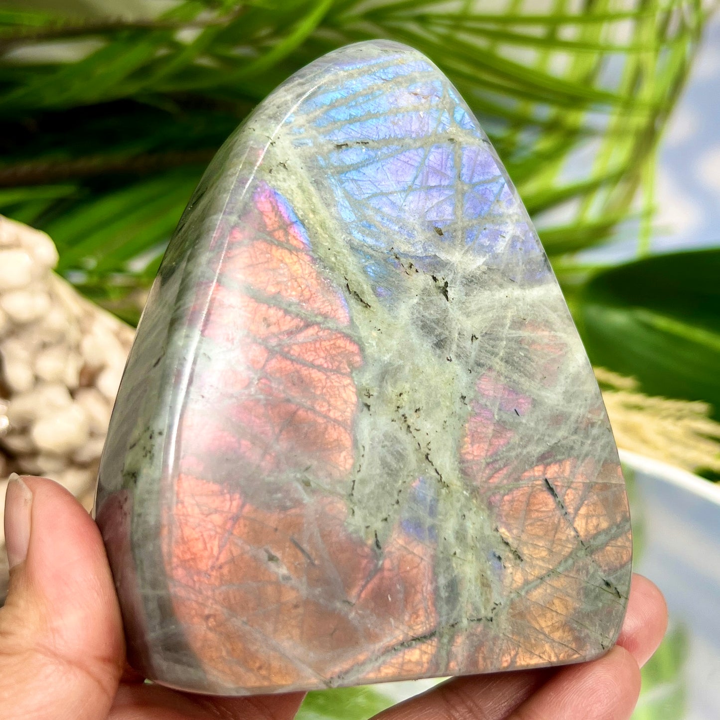 Labradorite Purple Sunset Free Form Healing Crystal 514g