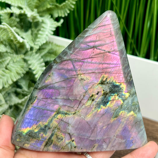 Labradorite Purple Free Form Healing Crystal 734g