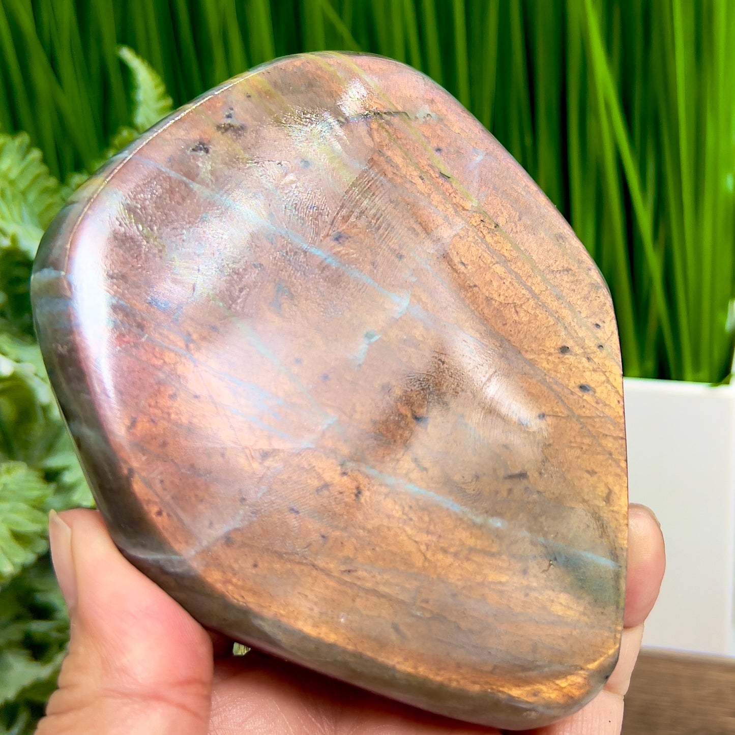 Labradorite Sunset Free Form Healing Crystal 478g