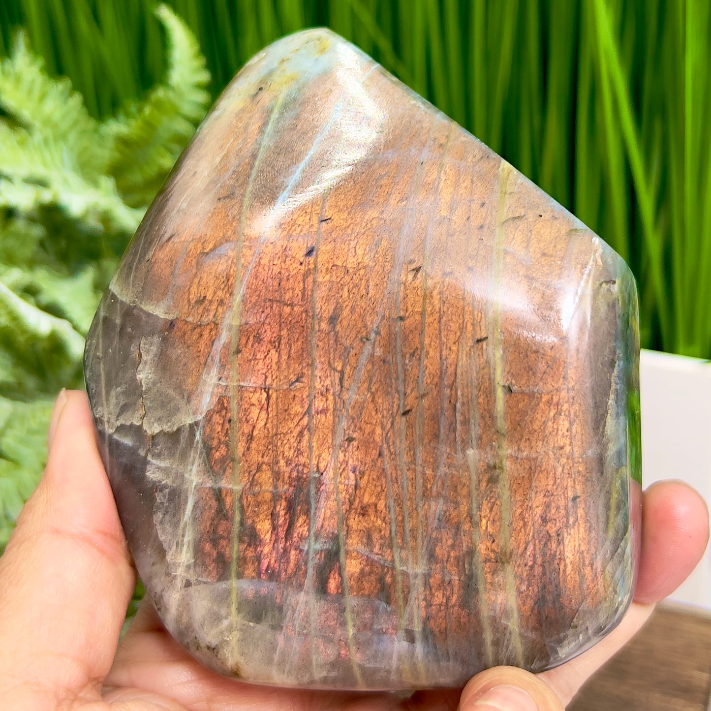 Labradorite Sunset Free Form Healing Crystal 478g