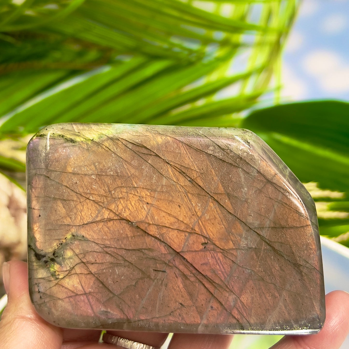 Labradorite Sunset Free Form Healing Crystal 504g