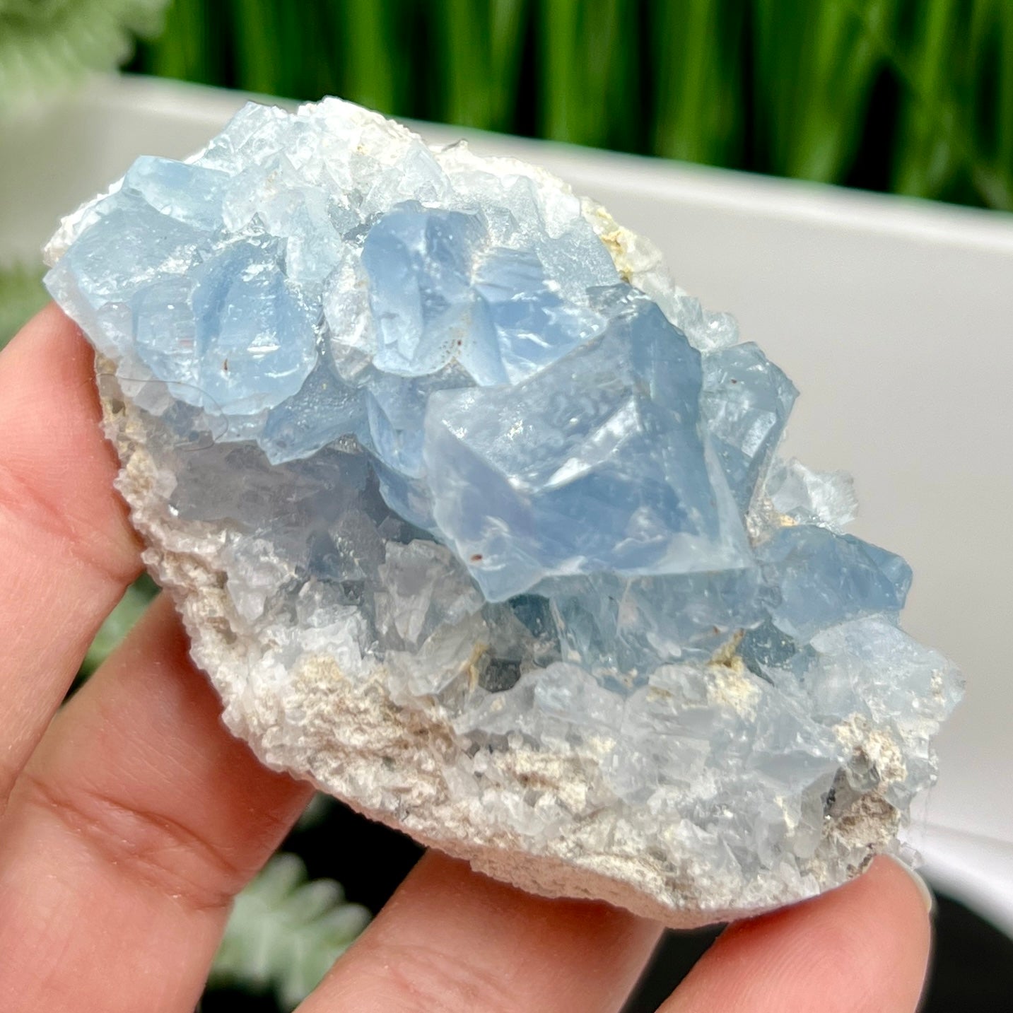 Celestite Celestine Cluster Natural Raw Specimen Crystal 160g