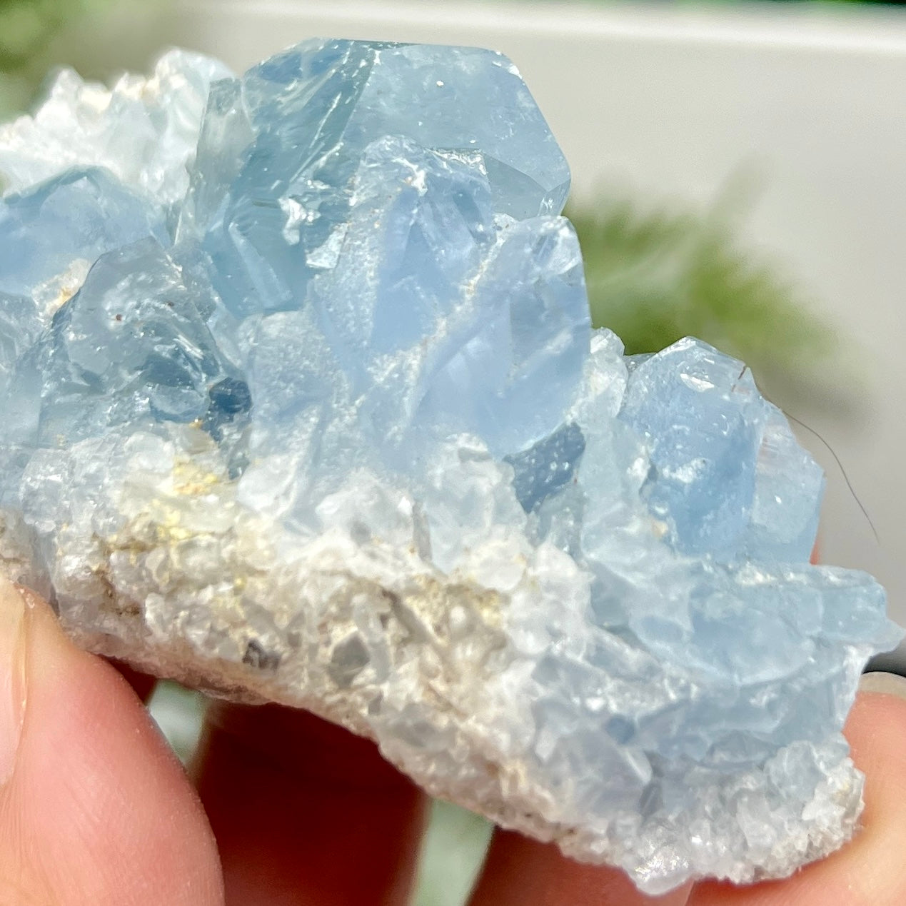 Celestite Celestine Cluster Natural Raw Specimen Crystal 160g