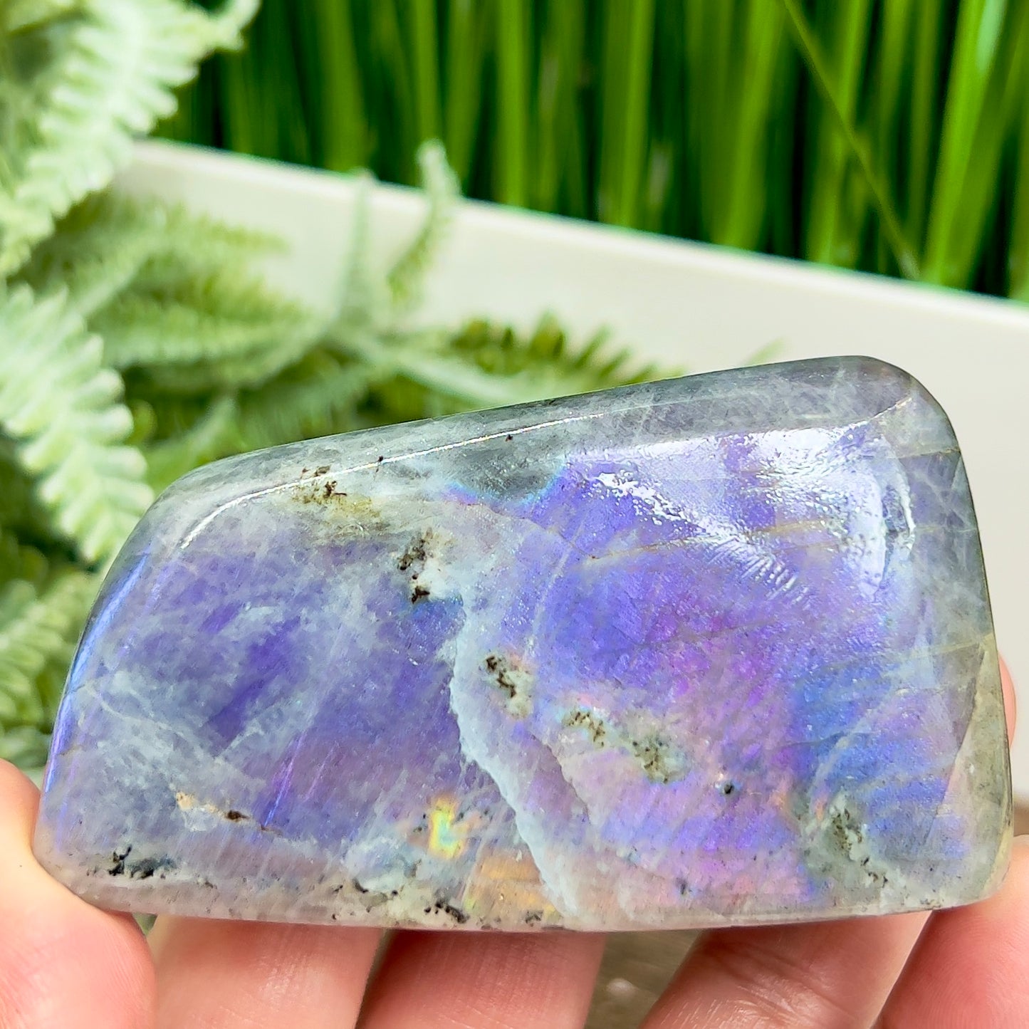 Labradorite Purple Free Form Healing Crystal 258g