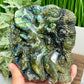 Labradorite Sea Ocean Creatures Healing Hand Carved Crystal Carving 908g