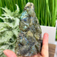 Labradorite Sea Ocean Creatures Healing Hand Carved Crystal Carving 908g