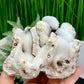 Quartz Stalactite Cluster Natural Druzy Raw Healing Crystal 630g