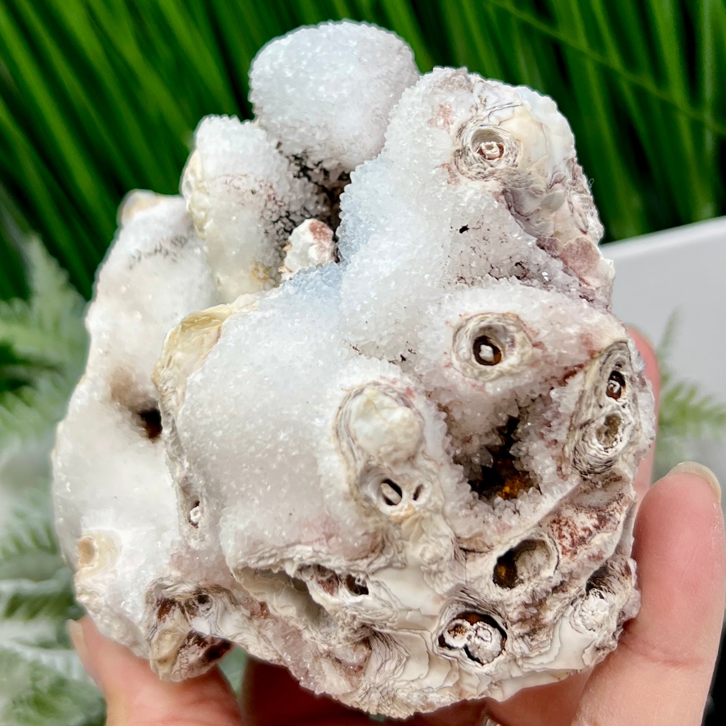 Quartz Stalactite Cluster Natural Druzy Raw Healing Crystal 630g