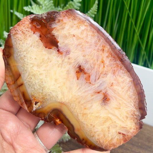 Carnelian Slice Crystal Slab Natural Healing Specimen 372g