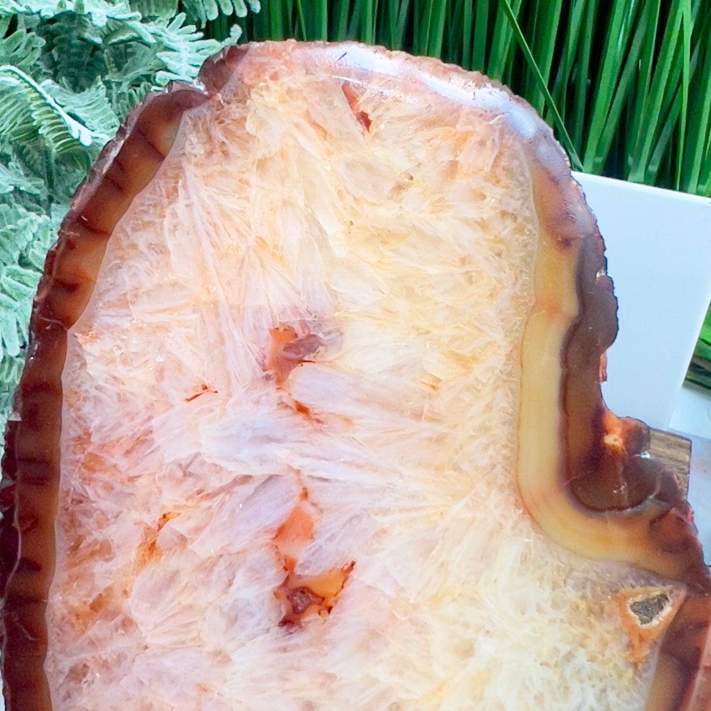 Carnelian Slice Crystal Slab Natural Healing Specimen 372g