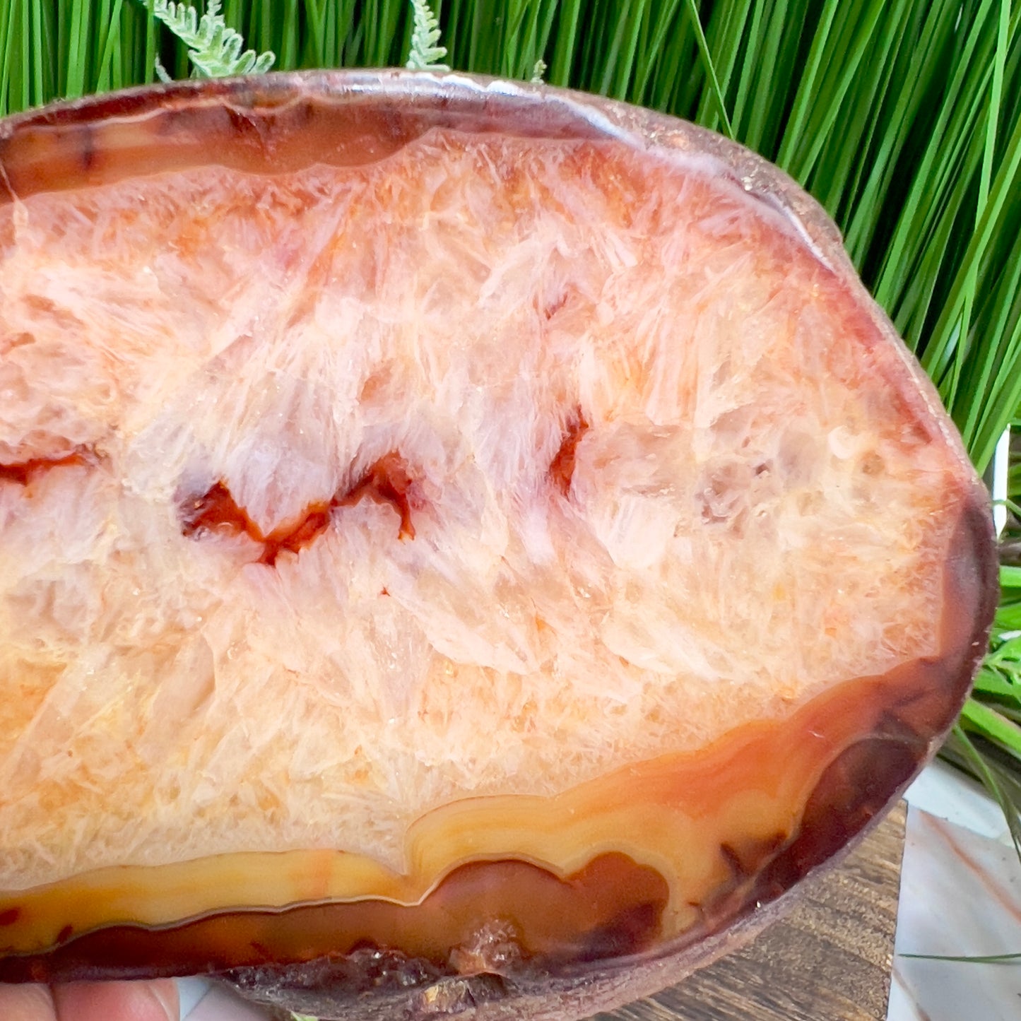 Carnelian Slice Crystal Slab Natural Healing Specimen 372g