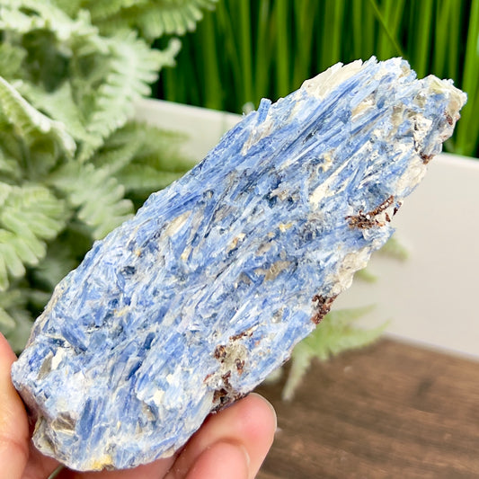 Blue Kyanite Natural Raw Specimen Healing Crystal 328g