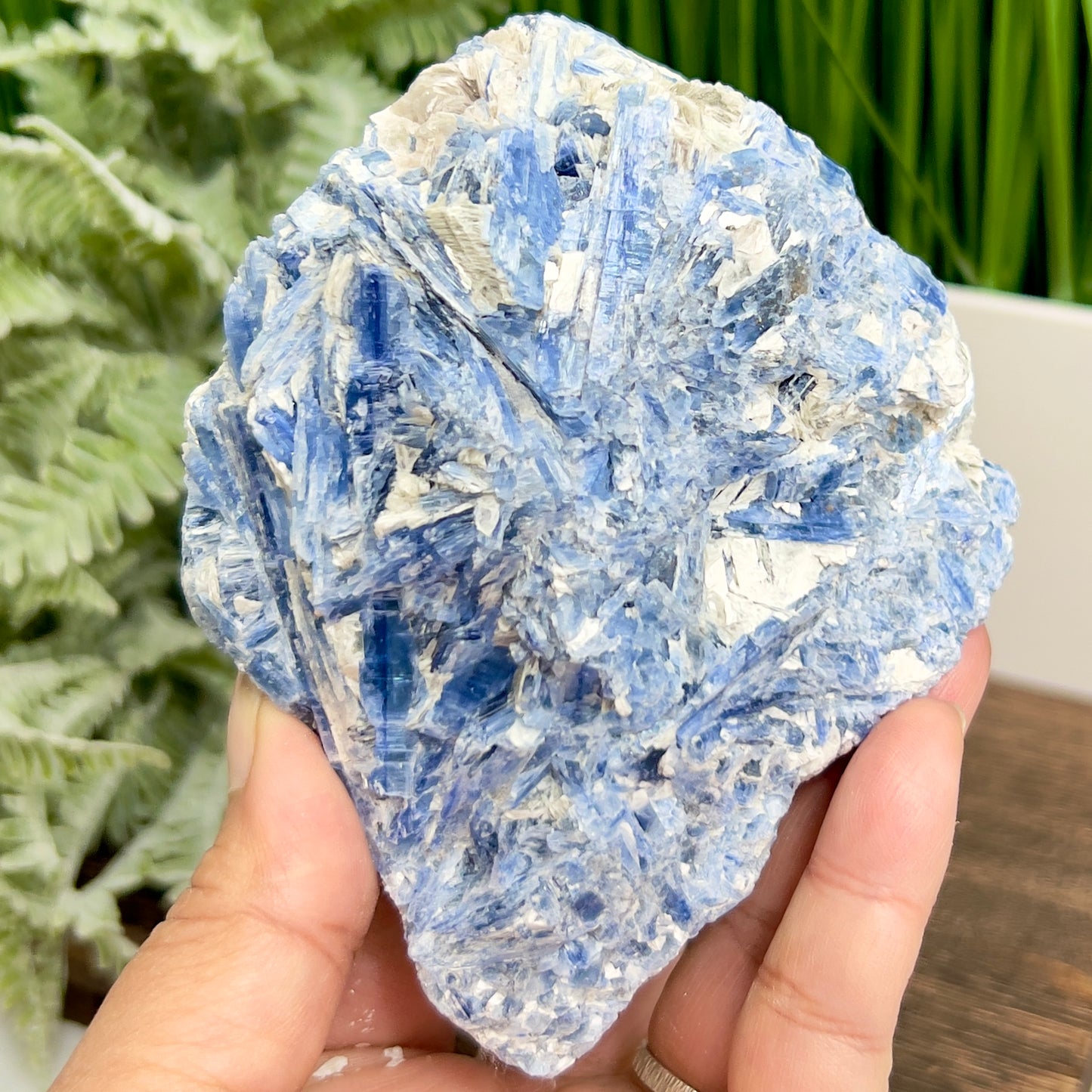 Blue Kyanite with Mica Natural Raw Specimen Healing Crystal 746g