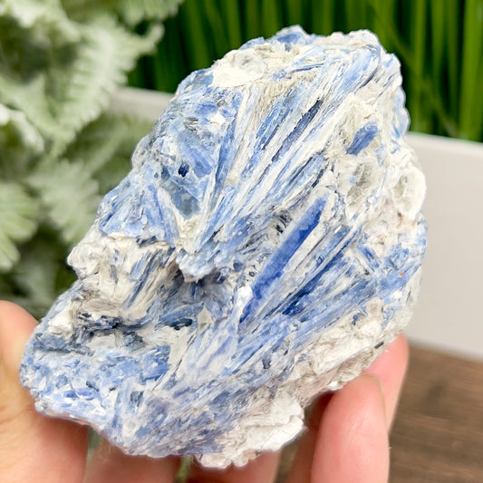 Blue Kyanite with Mica Natural Raw Specimen Healing Crystal 746g