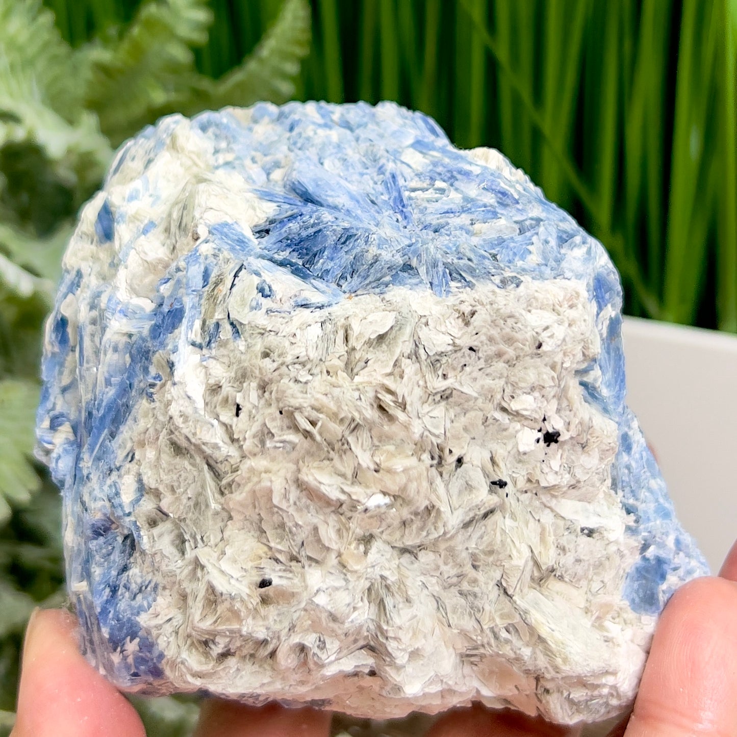 Blue Kyanite with Mica Natural Raw Specimen Healing Crystal 746g