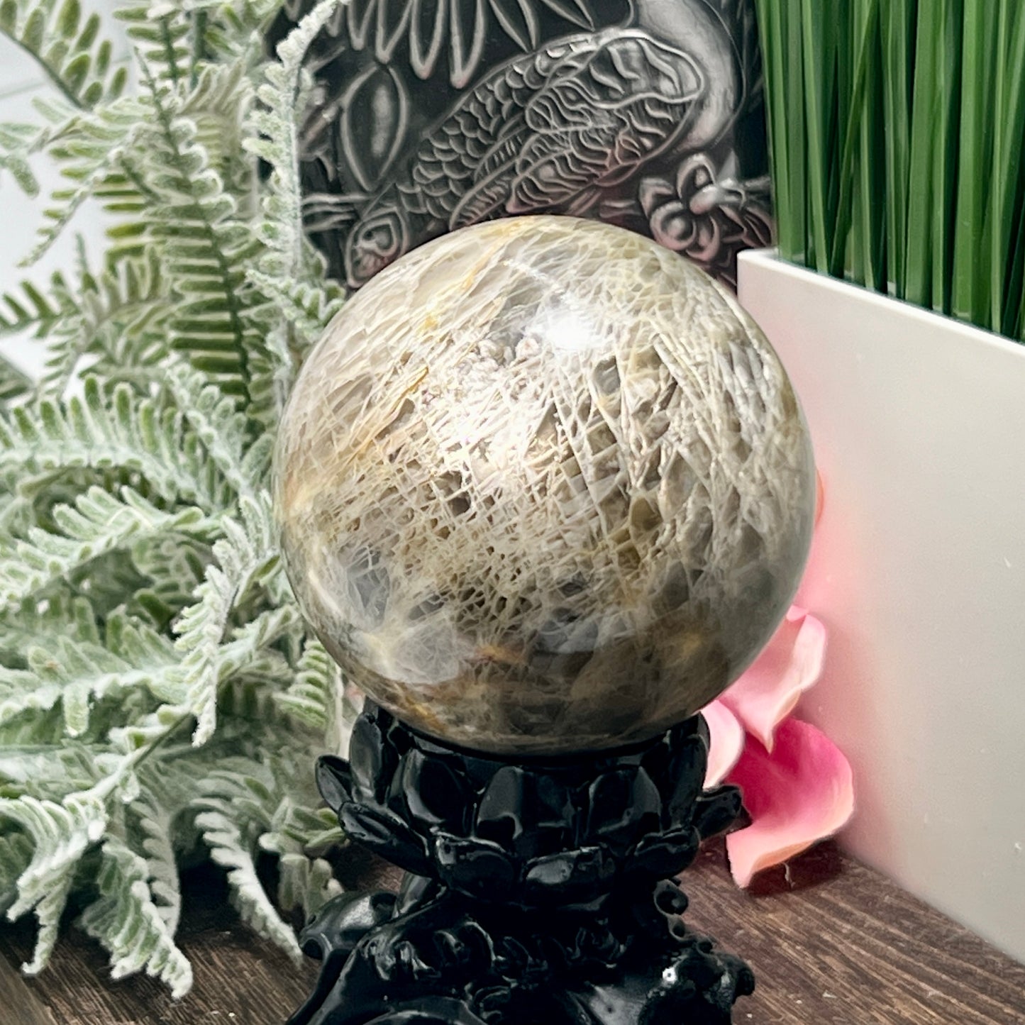 Black Moonstone Sphere Healing Crystal Ball 619g 76mm