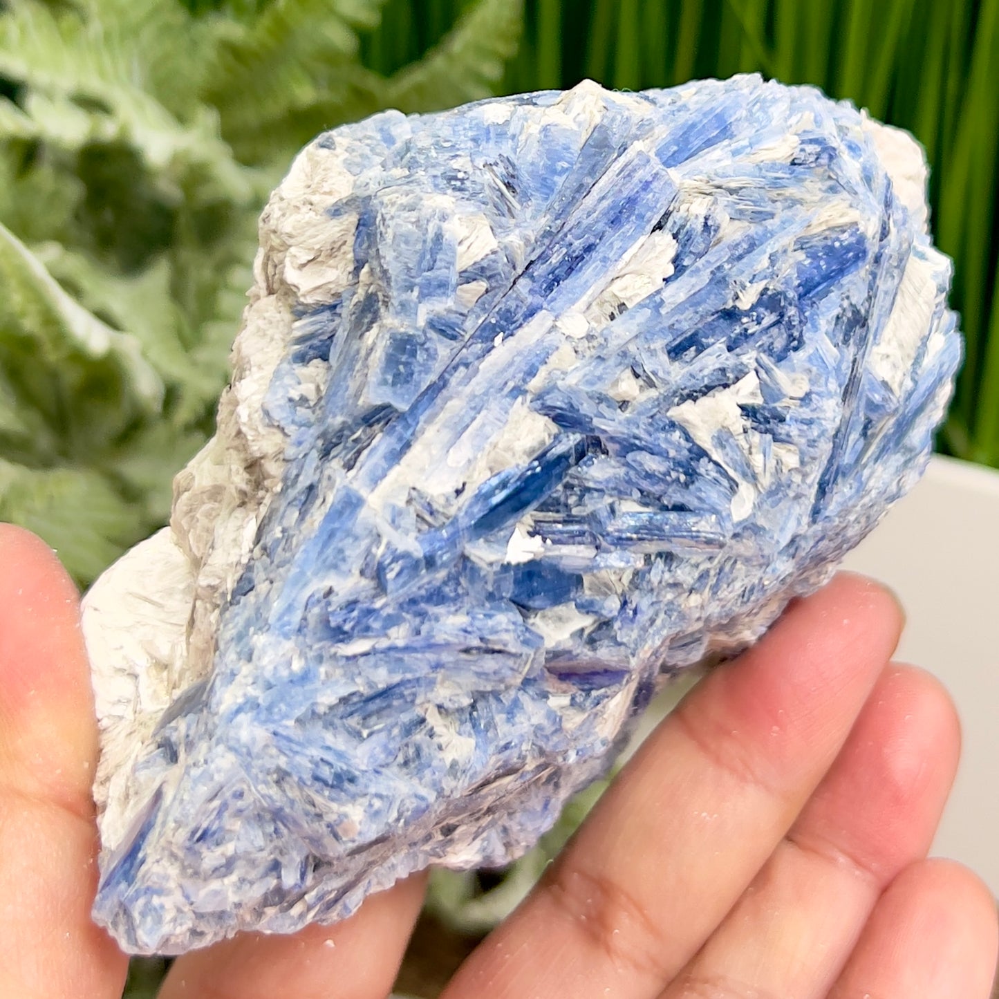 Blue Kyanite with Mica Natural Raw Specimen Healing Crystal 746g