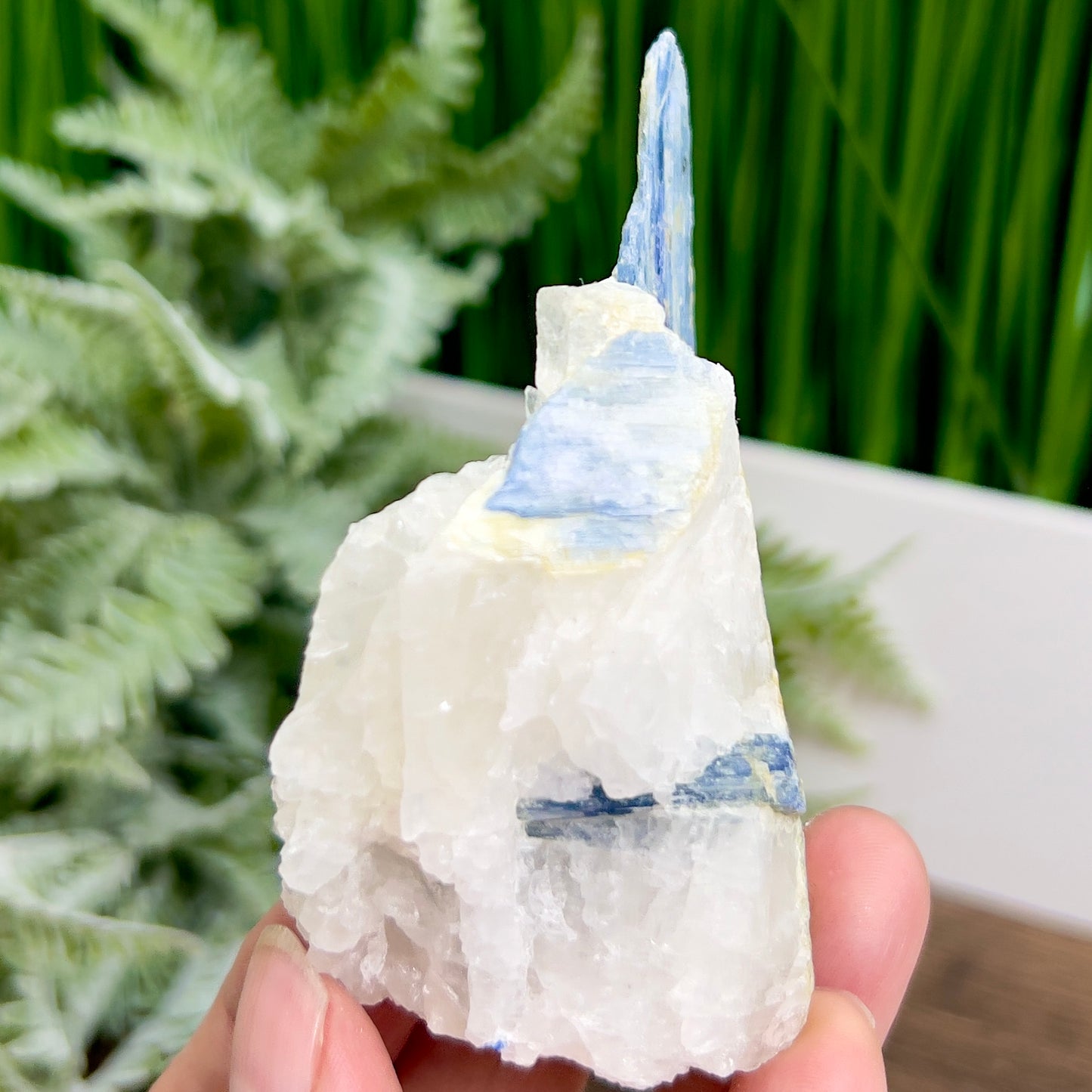 Blue Kyanite With Stand Natural Raw Specimen Crystal 122g