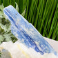 Blue Kyanite With Stand Natural Raw Specimen Crystal 122g