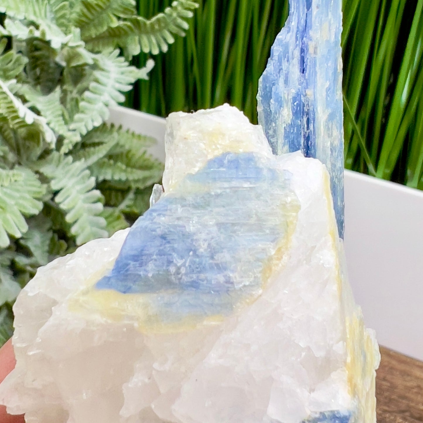 Blue Kyanite With Stand Natural Raw Specimen Crystal 122g