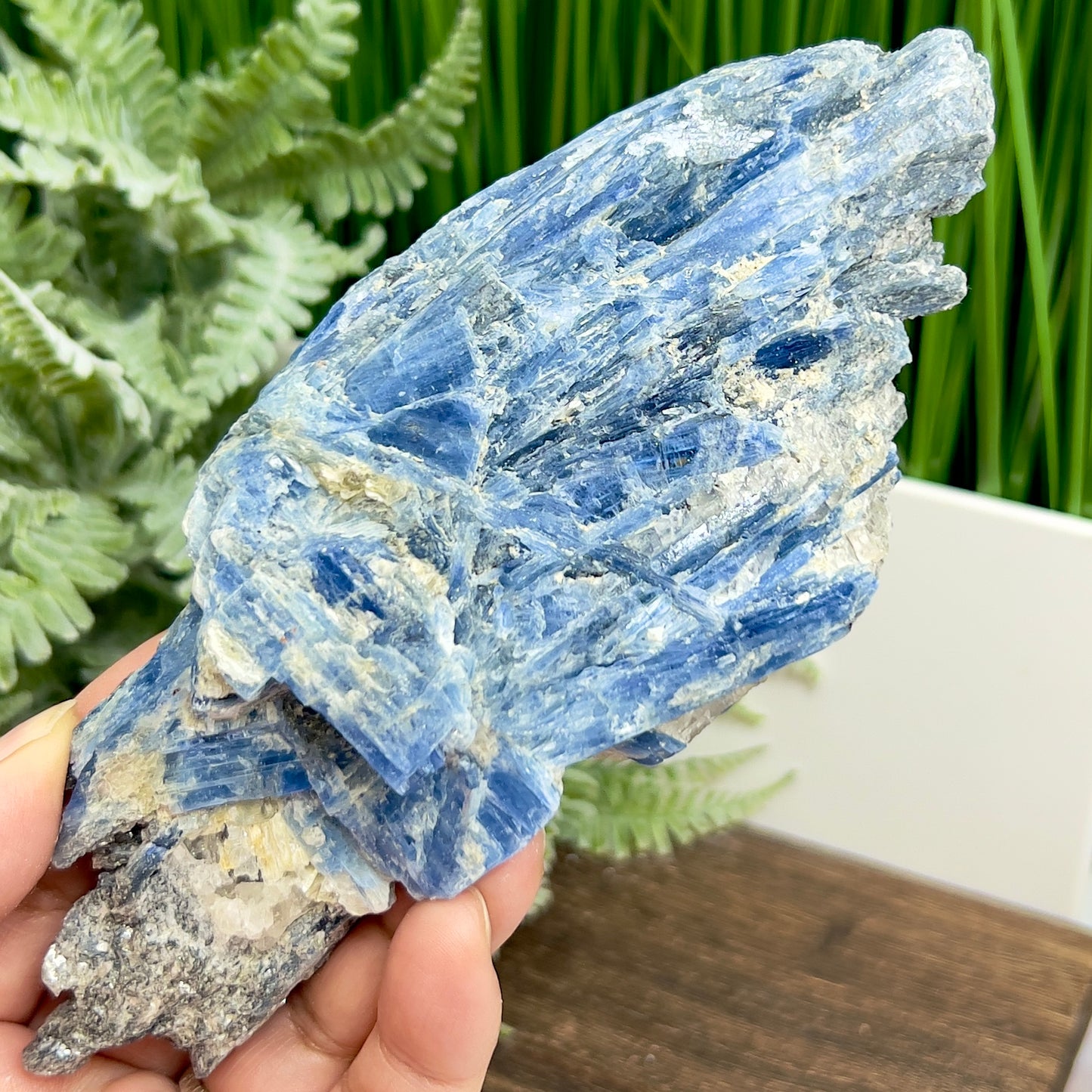 Blue Kyanite with Mica Natural Raw Specimen Healing Crystal 466g