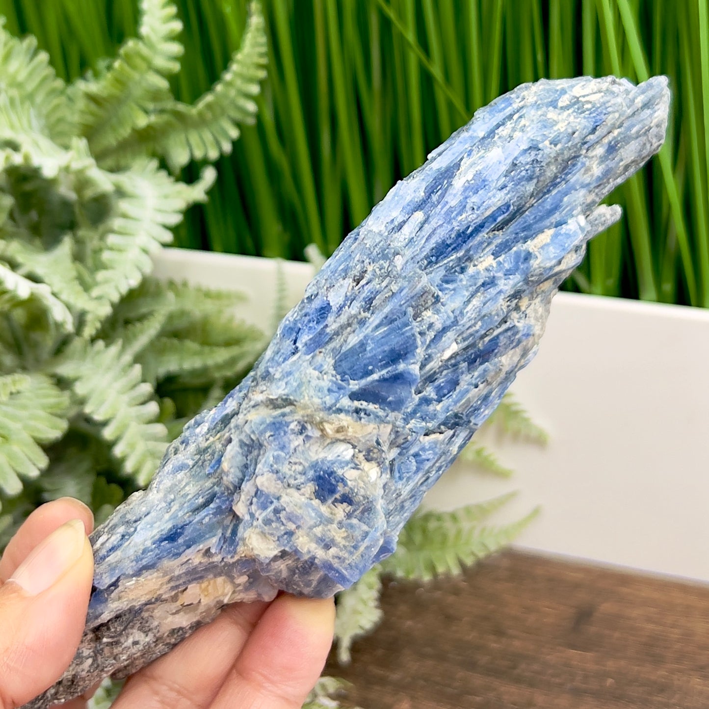 Blue Kyanite with Mica Natural Raw Specimen Healing Crystal 466g