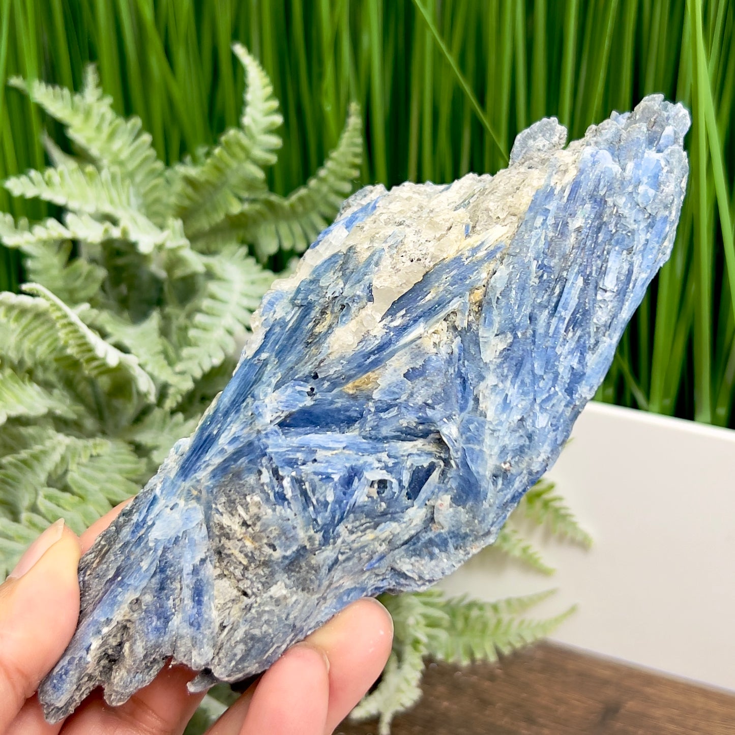 Blue Kyanite with Mica Natural Raw Specimen Healing Crystal 466g