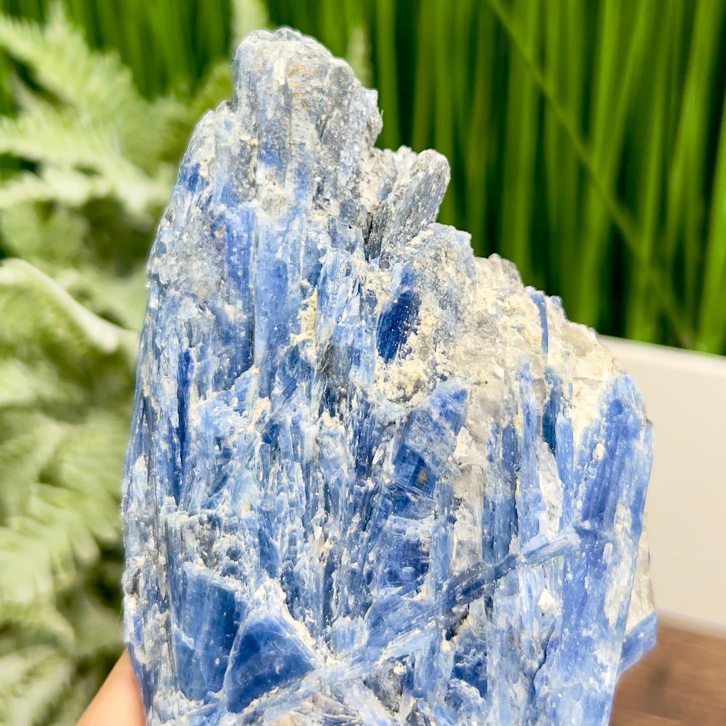 Blue Kyanite with Mica Natural Raw Specimen Healing Crystal 466g