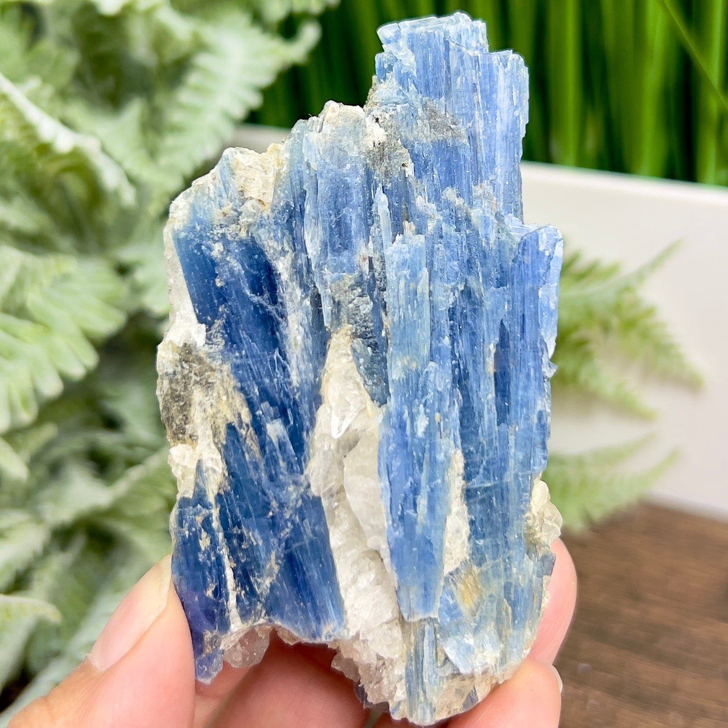 Blue Kyanite and Garnet With Stand Raw Specimen Healing Crystal 144g