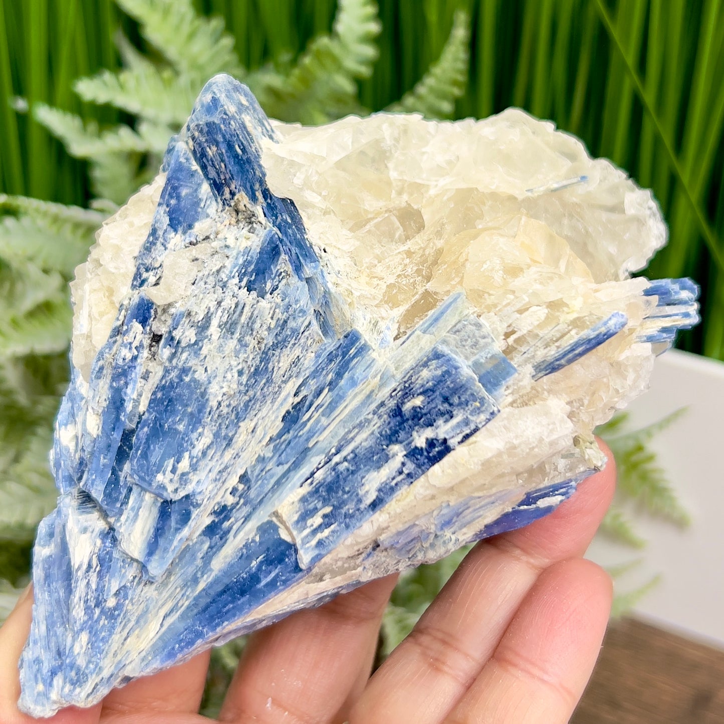 Blue Kyanite and Garnet Inclusion With Stand Natural Raw Specimen Crystal 534g