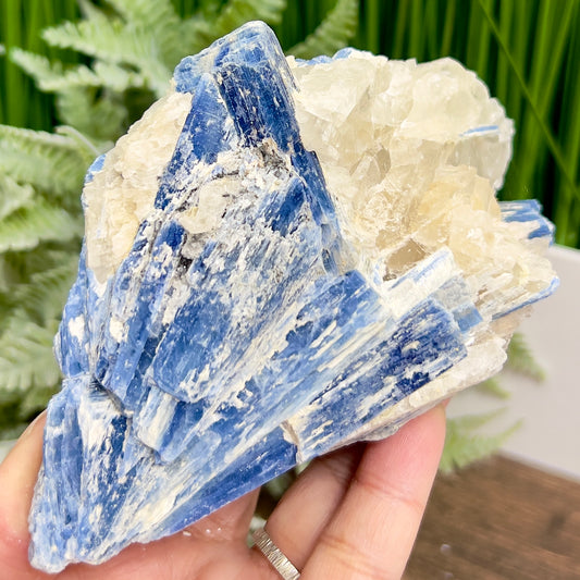 Blue Kyanite and Garnet Inclusion With Stand Natural Raw Specimen Crystal 534g