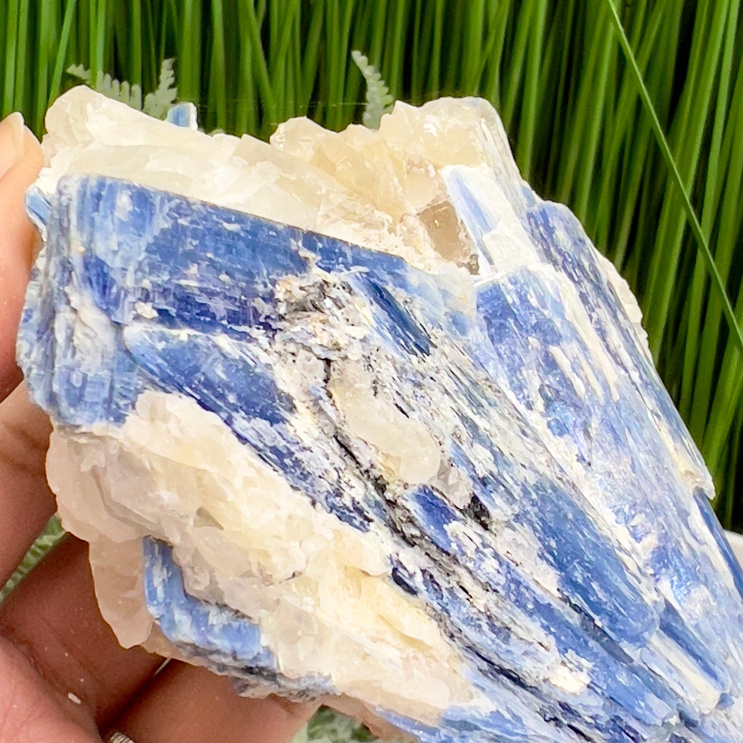 Blue Kyanite and Garnet Inclusion With Stand Natural Raw Specimen Crystal 534g