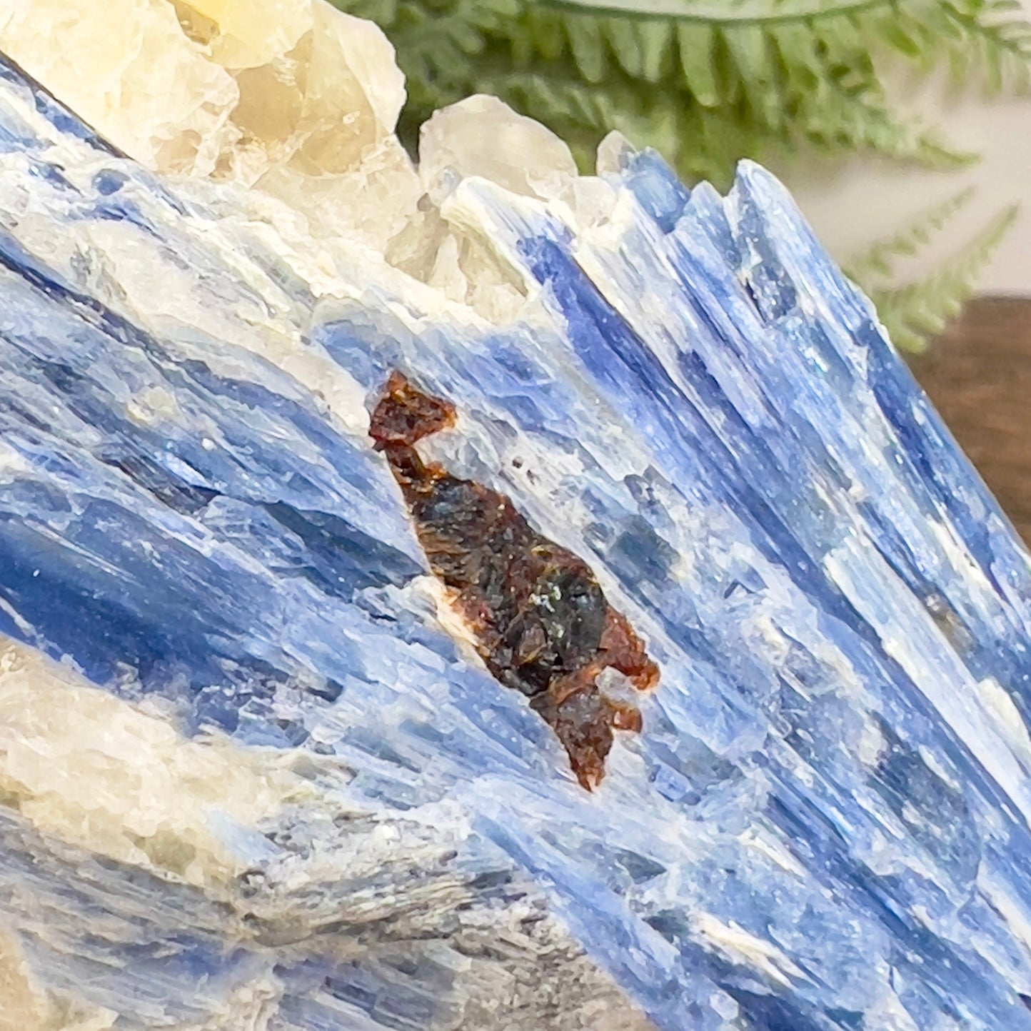 Blue Kyanite and Garnet Inclusion With Stand Natural Raw Specimen Crystal 534g