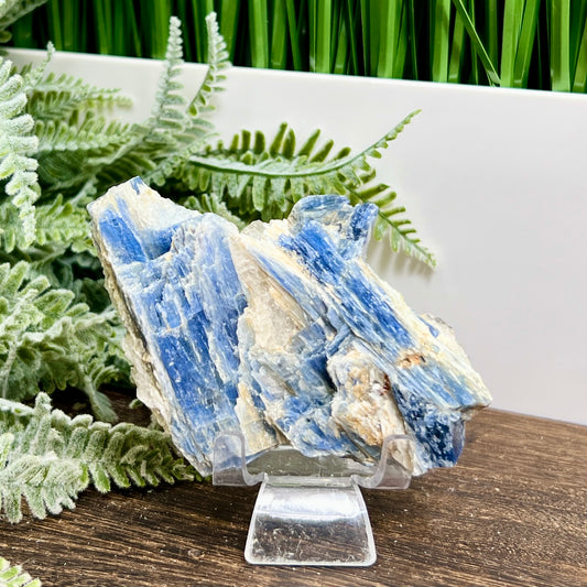 Blue Kyanite With Stand Natural Raw Specimen Crystal 180g