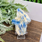 Blue Kyanite With Stand Natural Raw Specimen Crystal 180g