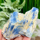 Blue Kyanite With Stand Natural Raw Specimen Crystal 180g