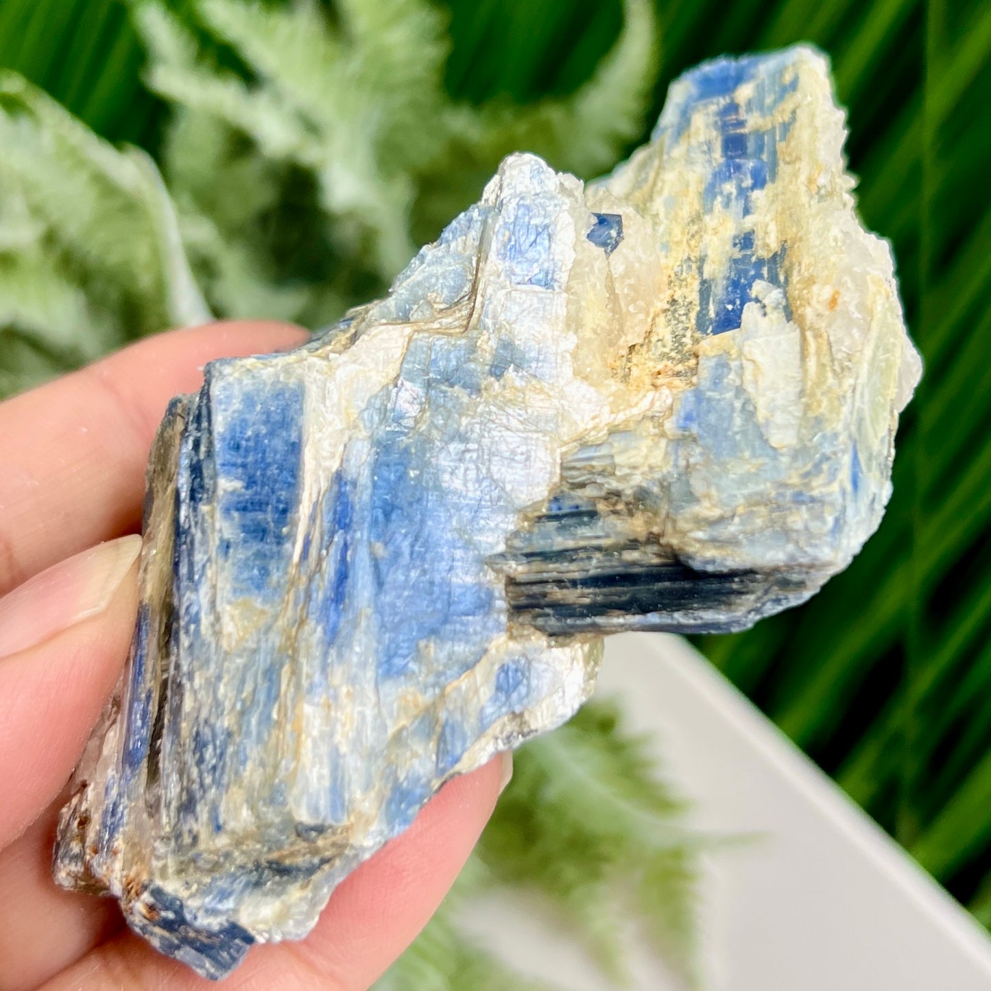 Blue Kyanite With Stand Natural Raw Specimen Crystal 180g