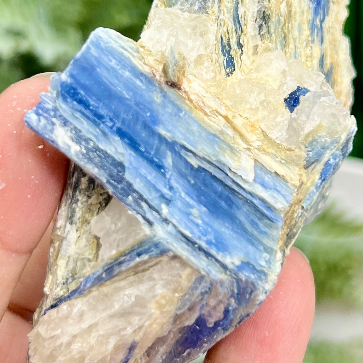 Blue Kyanite With Stand Natural Raw Specimen Crystal 180g