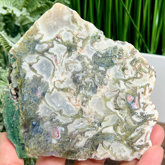 Moss Agate Slice Specimen Crystal Slab 360g