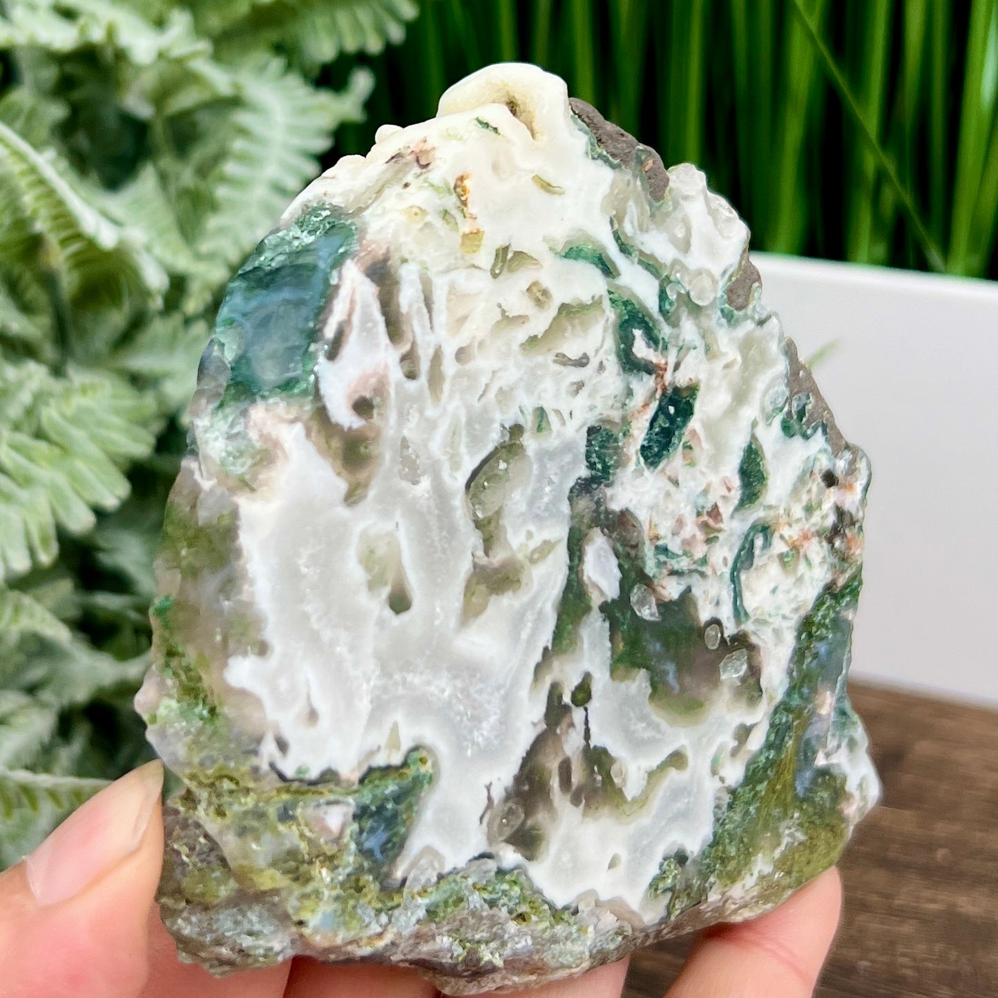 Moss Agate Slice Specimen Crystal Slab 292g