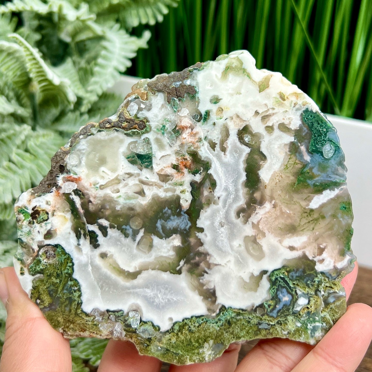 Moss Agate Slice Specimen Crystal Slab 292g