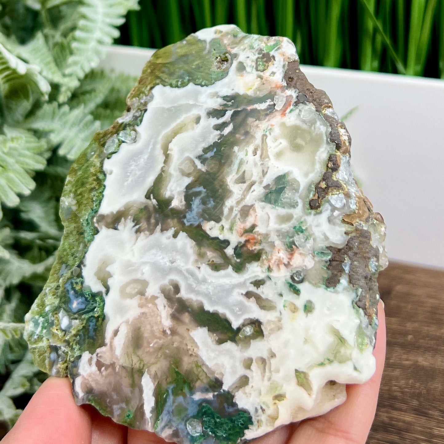 Moss Agate Slice Specimen Crystal Slab 292g