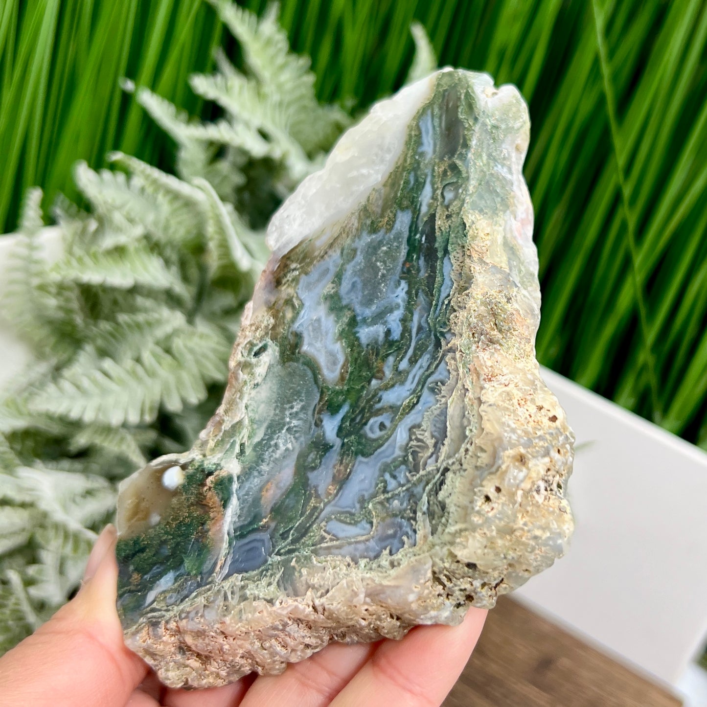 Moss Agate Slice Specimen Crystal Slab 256g