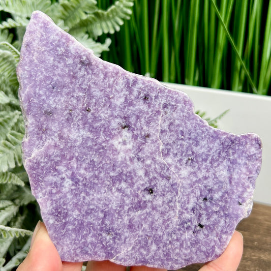 Lepidolite Purple Mica Slice Healing Specimen Crystal Slab 240g