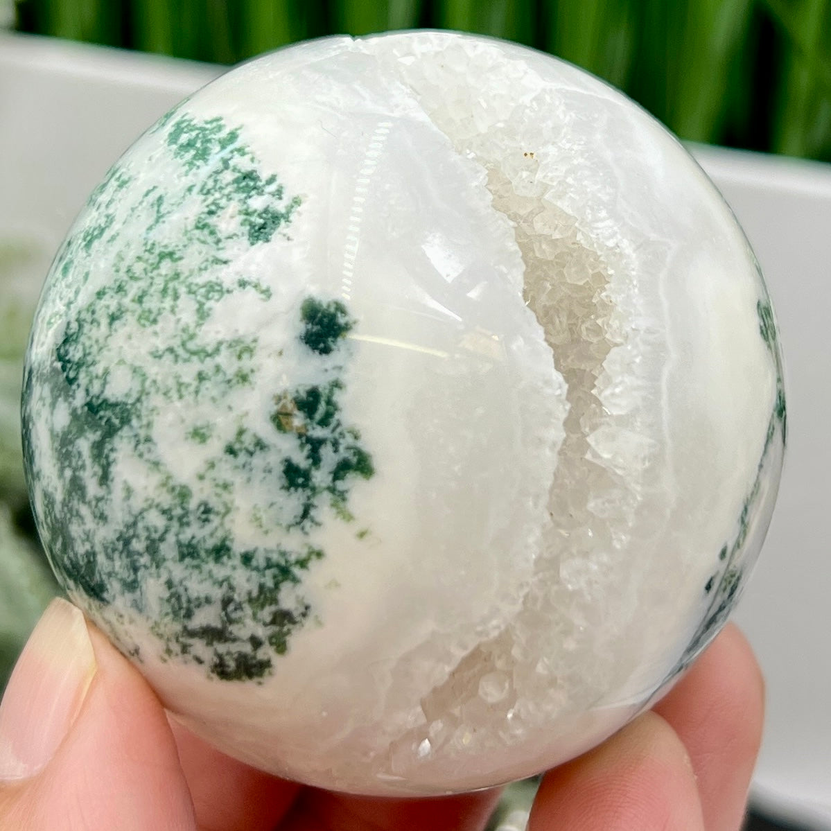 Tree Agate Sphere High Quality Crystal Ball 252g 59mm