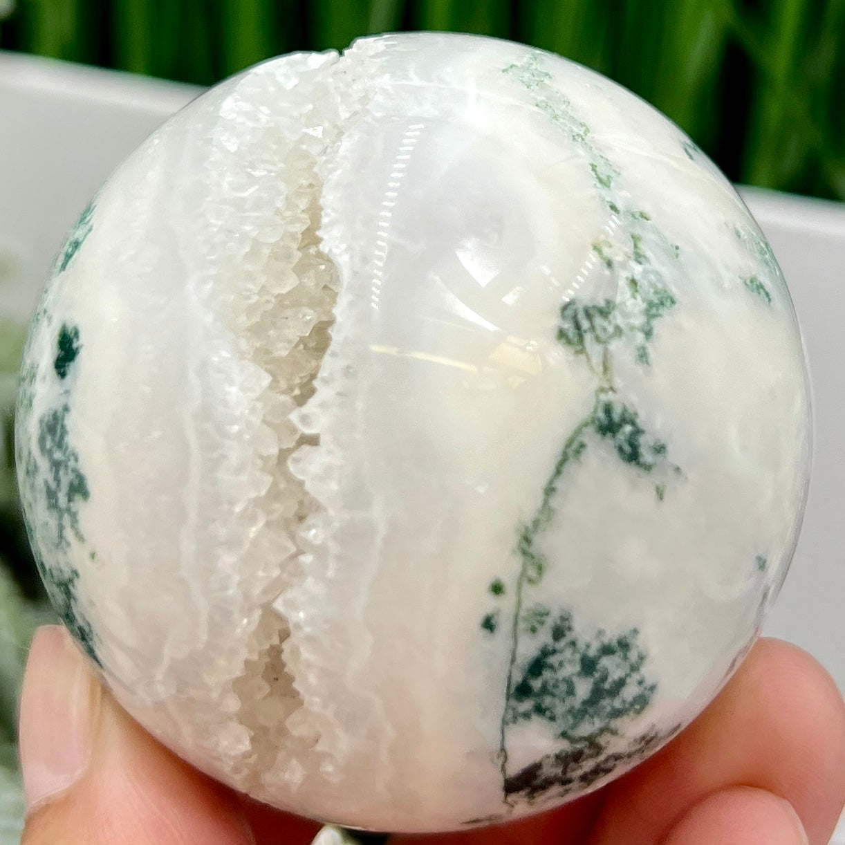 Tree Agate Sphere High Quality Crystal Ball 252g 59mm